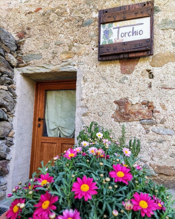 Al Vecchio Torchio *