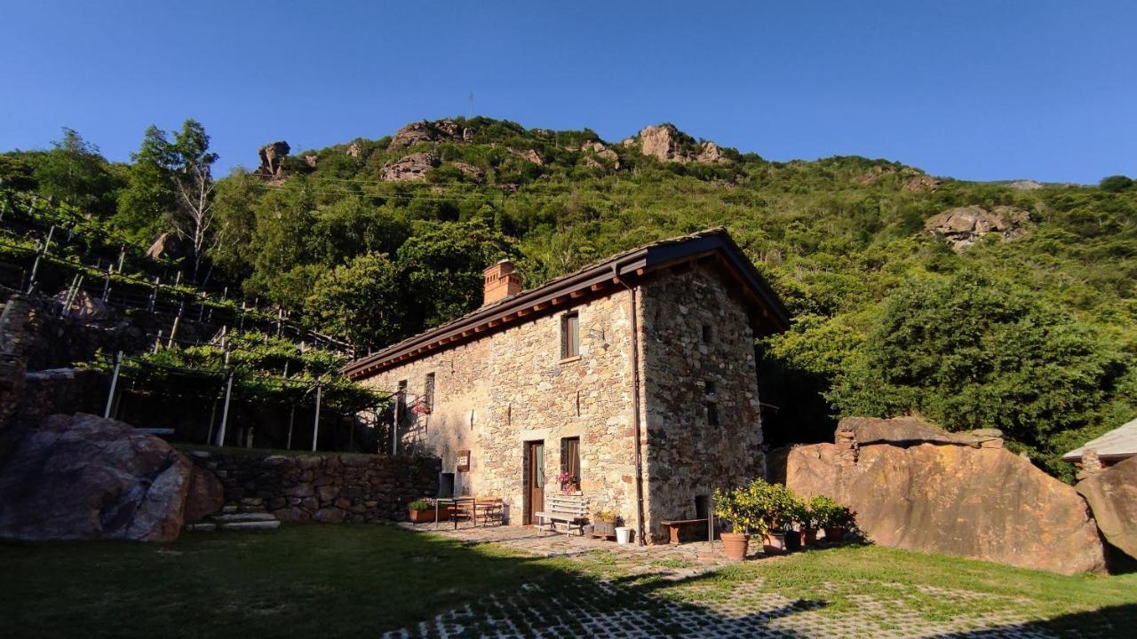 Al Vecchio Torchio